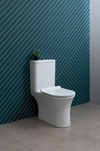 Чаша напольного унитаза Aquanet Rimless Roll 2-C CL-12289 с сиденьем Чаша напольного унитаза Aquanet Rimless Roll 2-C CL-12289 с сиденьем