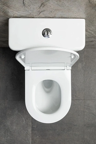 Чаша напольного унитаза Allen Brau Priority Tornado 4.31006.20 с крышкой, белый глянец Чаша напольного унитаза Allen Brau Priority Tornado 4.31006.20 с крышкой, белый глянец