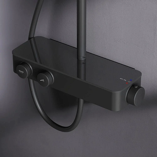 Душевая система AM.PM Inspire V2.0 F0750A422 с термостатом, верхний душ d 250 мм Душевая система AM.PM Inspire V2.0 F0750A422 с термостатом, верхний душ d 250 мм