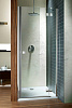 Картинка анонса товара «душевая дверь radaway almatea dwj 120/l 31402-01-05n»