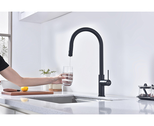 Смеситель для кухни Paulmark Galant антрацит Ga213077-AN Смеситель для кухни Paulmark Galant антрацит Ga213077-AN