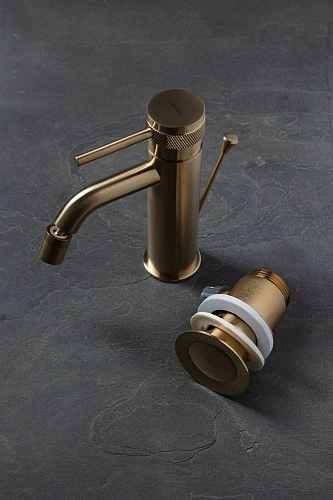 Смеситель для биде Allen Brau Priority 5.31A04-GB (с донным клапаном) золото Смеситель для биде Allen Brau Priority 5.31A04-GB (с донным клапаном) золото