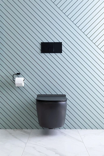 Унитаз подвесной Aquanet Rimless Cetus-BW BL-102N-WHT CETUS-BW с сиденьем Унитаз подвесной Aquanet Rimless Cetus-BW BL-102N-WHT CETUS-BW с сиденьем