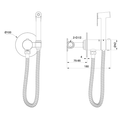 Гигиенический душ Wonzon & Woghand брашированный никель (WW-88829909-BN) Гигиенический душ Wonzon & Woghand брашированный никель (WW-88829909-BN)