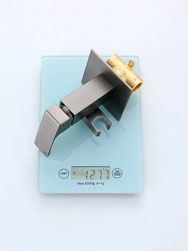 Гигиенический душ Raglo R02.54.09 встраиваемый, графит Гигиенический душ Raglo R02.54.09 встраиваемый, графит