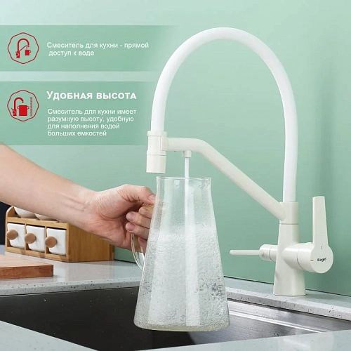 Смеситель для кухни Raglo R80.62.08 с гибким изливом с подключением к фильтру, белый Смеситель для кухни Raglo R80.62.08 с гибким изливом с подключением к фильтру, белый
