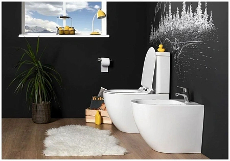 Бачок для унитаза Aquanet Cetus-C2 BL-102N-TPT CETUS-C2 Бачок для унитаза Aquanet Cetus-C2 BL-102N-TPT CETUS-C2