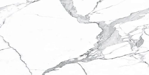 Керамогранит Neodom Belvedere Statuario Classico Polished 60x120 N20321 Керамогранит Neodom Belvedere Statuario Classico Polished 60x120 N20321