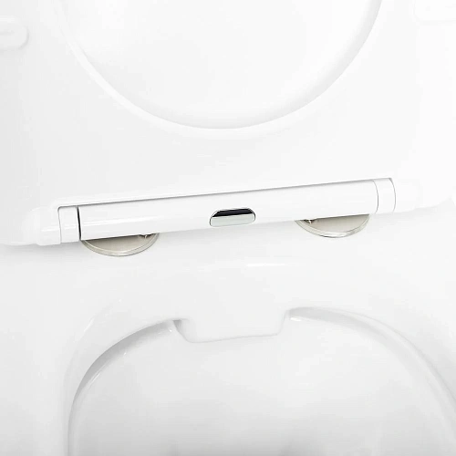 Унитаз подвесной CEZARES STYLUS CZR-513-TH-R/CZR-2316-SC безободковый с сиденьем Унитаз подвесной CEZARES STYLUS CZR-513-TH-R/CZR-2316-SC безободковый с сиденьем