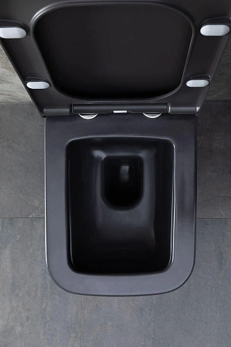 Унитаз подвесной Allen Brau Infinity 4.21011.AN с крышкой, антрацит Унитаз подвесной Allen Brau Infinity 4.21011.AN с крышкой, антрацит
