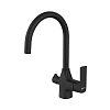Смеситель для кухни Lemark Ursus LM7261BL с подключением к фильтру, черный Смеситель для кухни Lemark Ursus LM7261BL с подключением к фильтру, черный