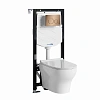 Комплект унитаза WasserKRAFT Aller 10TLT.010.ME.RG02.H001 с инсталляцией