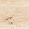 Керамогранит Cersanit Wood Concept Natural светло-бежевый ректификат 21,8x89,8 0,8 WN4T303 Керамогранит Cersanit Wood Concept Natural светло-бежевый ректификат 21,8x89,8 0,8 WN4T303