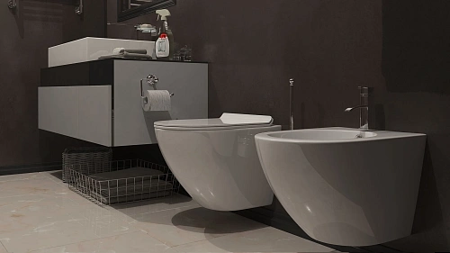 Биде подвесное Timo KULO TK-404 (490x365x325) Биде подвесное Timo KULO TK-404 (490x365x325)