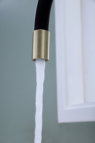 Смеситель для кухни Paulmark Salix бронза Sa213419-BR Смеситель для кухни Paulmark Salix бронза Sa213419-BR