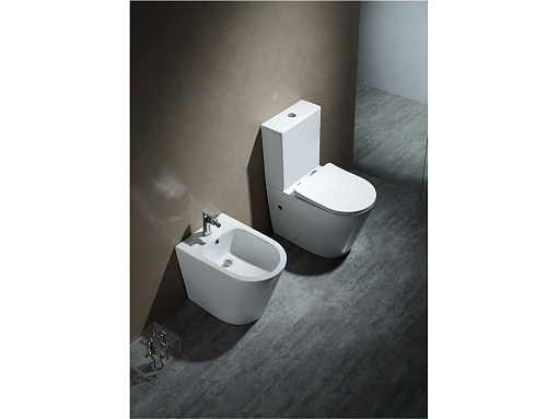 Унитаз напольный Aquatek ВЕГА AQ2904-00 630x390x825 безободковый с бачком с сиденьем тонкое Унитаз напольный Aquatek ВЕГА AQ2904-00 630x390x825 безободковый с бачком с сиденьем тонкое