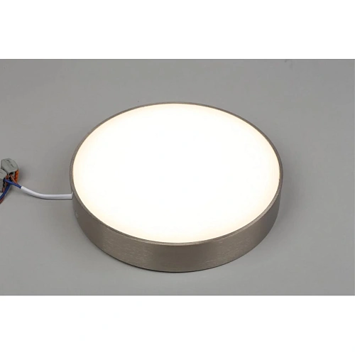 Светильник настенно-потолочный Aployt Evon APL.0114.19.24 Светильник настенно-потолочный Aployt Evon APL.0114.19.24