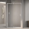 Картинка анонса товара «душевая дверь rgw passage pa-008 1200 мм easy clean хром 350800813-11»