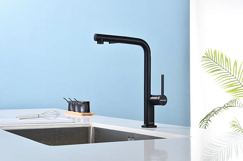 Смеситель для кухни Paulmark NEO антрацит Ne214419-AN Смеситель для кухни Paulmark NEO антрацит Ne214419-AN