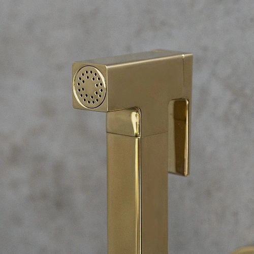 Гигиенический душ Lemark Solo LM7172G, встраиваемый, золото Гигиенический душ Lemark Solo LM7172G, встраиваемый, золото