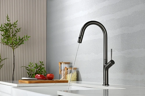 Смеситель для кухни AQUAme Cucina AQM9905GM с выдвижным изливом, с подключением к фильтру с питьевой водой, металл Смеситель для кухни AQUAme Cucina AQM9905GM с выдвижным изливом, с подключением к фильтру с питьевой водой, металл