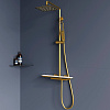 Картинка анонса товара «душевая система rgw shower panels sp-34g золото brush»