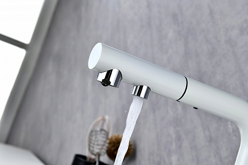 Смеситель для кухни Paulmark SERPENTINE белый матовый Se213222-WH Смеситель для кухни Paulmark SERPENTINE белый матовый Se213222-WH