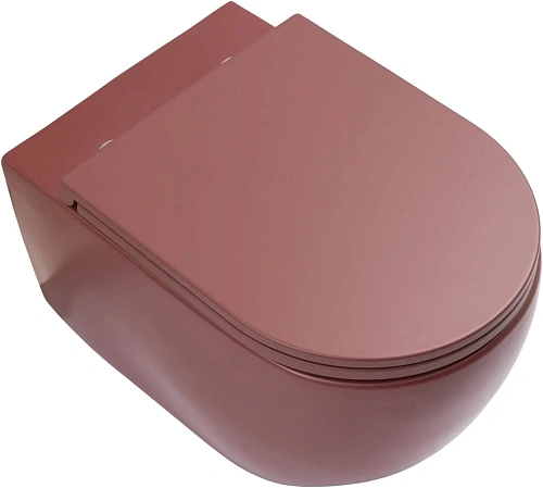 Унитаз подвесной Allen Brau Reality 4.32015.BD сиденье с микролифт бордо Унитаз подвесной Allen Brau Reality 4.32015.BD сиденье с микролифт бордо