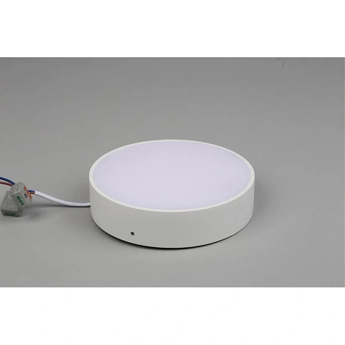 Светильник настенно-потолочный Aployt Evon APL.0114.09.18 Светильник настенно-потолочный Aployt Evon APL.0114.09.18