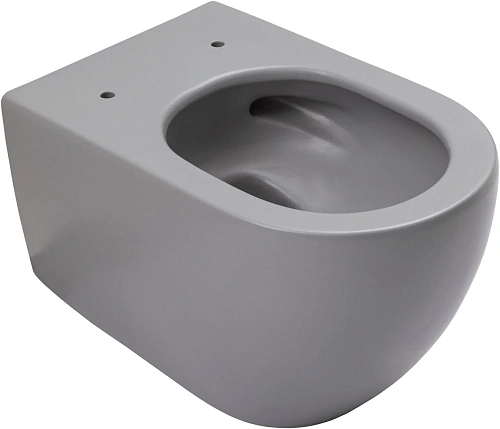 Унитаз подвесной Allen Brau Reality 4.32015.SG сиденье с микролифт серый матовый Унитаз подвесной Allen Brau Reality 4.32015.SG сиденье с микролифт серый матовый