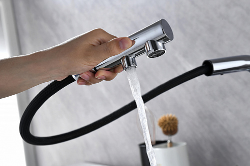 Смеситель для кухни Paulmark SERPENTINE хром Se213222-CR Смеситель для кухни Paulmark SERPENTINE хром Se213222-CR