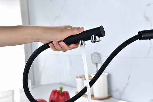 Смеситель для кухни Paulmark SERPENTINE антрацит Se213222-AN Смеситель для кухни Paulmark SERPENTINE антрацит Se213222-AN