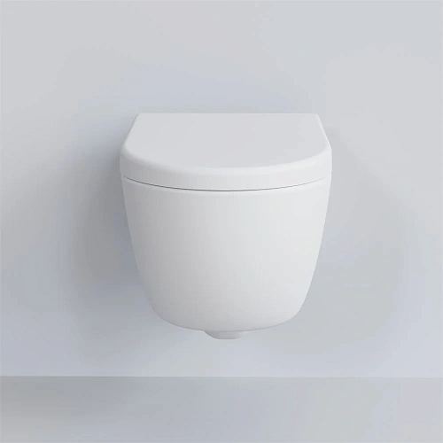 Крышка-сиденье Ambassador Abner 102T20101 (толстое) белое матовое Крышка-сиденье Ambassador Abner 102T20101 (толстое) белое матовое