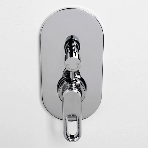 Смеситель для душа WasserKRAFT Kammel 1841 хром Смеситель для душа WasserKRAFT Kammel 1841 хром