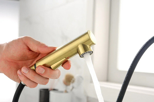 Смеситель для кухни Paulmark NEO светлое золото Ne214419-LG Смеситель для кухни Paulmark NEO светлое золото Ne214419-LG