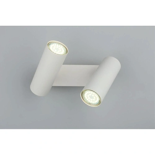 Светильник настенный (Бра) Aployt Rein APL.004.01.02 Светильник настенный (Бра) Aployt Rein APL.004.01.02