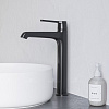 Картинка анонса товара «смеситель для раковины rgw shower panels sp-311b черный»