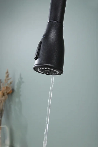 Смеситель для кухни Paulmark LANGE черный La214212-BLM Смеситель для кухни Paulmark LANGE черный La214212-BLM