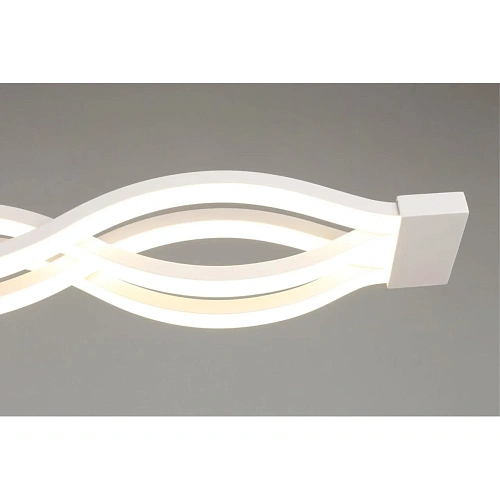 Светильник настенно-потолочный Aployt Nadayn APL.002.07.72 Светильник настенно-потолочный Aployt Nadayn APL.002.07.72