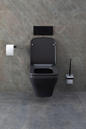 Унитаз подвесной Allen Brau Infinity 4.21011.AN с крышкой, антрацит