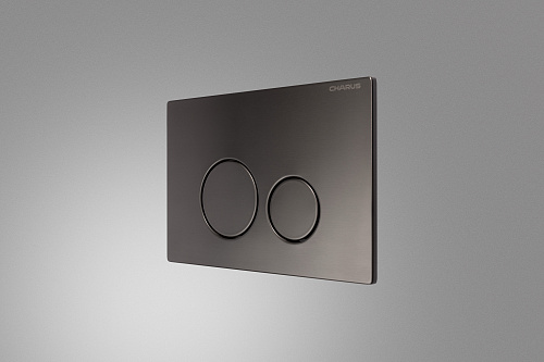 Клавиша смыва CHARUS ROBUSTO FP.330.GNM.05 оружейная сталь Клавиша смыва CHARUS ROBUSTO FP.330.GNM.05 оружейная сталь