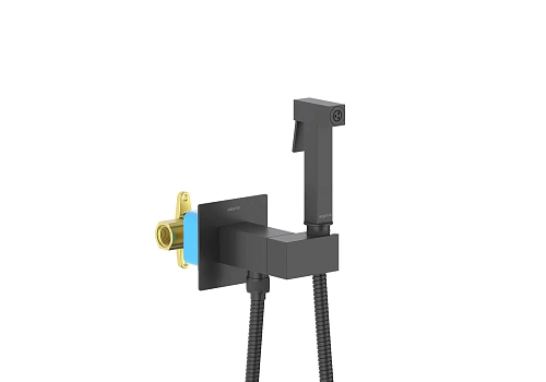 Гигиенический душ Aquatek ЛИРА AQ1025MB Черный матовый, встраиваемый Гигиенический душ Aquatek ЛИРА AQ1025MB Черный матовый, встраиваемый