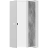 Настенный короб Hansgrohe XtraStoris Rock 30х30х14 см с дверью для облицовки плиткой 56088700, матов