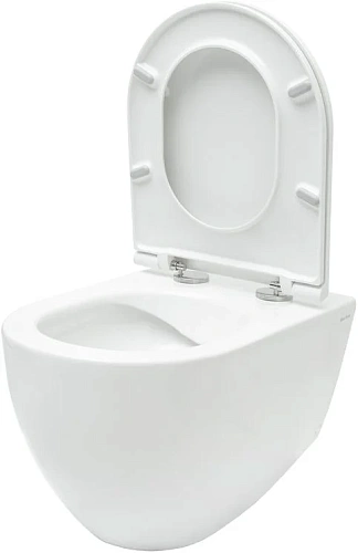 Комплект унитаза Allen Brau Reality 4.32006.20/8.9466.0.000.000.1 (00316510) с инсталляцией, белый глянец Комплект унитаза Allen Brau Reality 4.32006.20/8.9466.0.000.000.1 (00316510) с инсталляцией, белый глянец