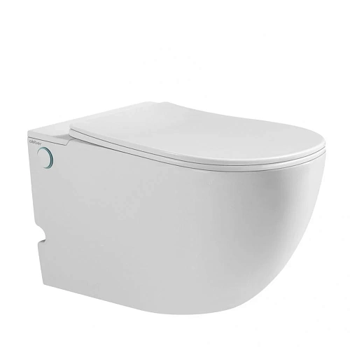 Унитаз подвесной ABBER Bequem AC1105P белый с импульсным смывом с крышкой микролифт Унитаз подвесной ABBER Bequem AC1105P белый с импульсным смывом с крышкой микролифт