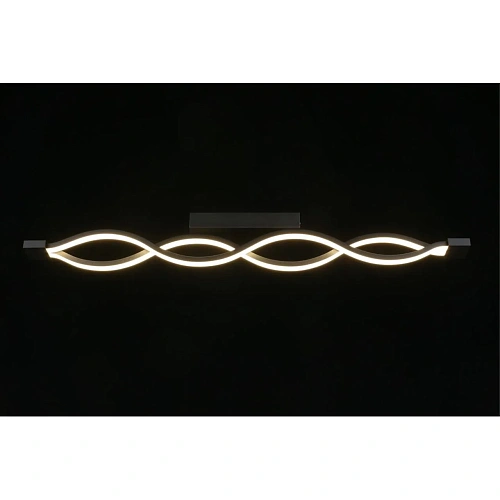 Светильник настенно-потолочный Aployt Nadayn APL.002.12.36 Светильник настенно-потолочный Aployt Nadayn APL.002.12.36