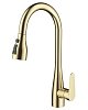 Смеситель для кухни Wonzon &amp; Woghand с выдвижным изливом, брашированное золото (WW-121E201B-BG)