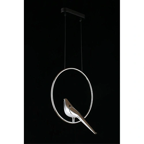 Светильник подвесной Aployt Astor APL.822.16.10 Светильник подвесной Aployt Astor APL.822.16.10