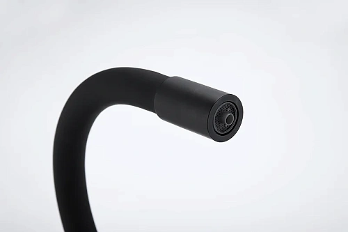 Смеситель для кухни Paulmark SALIX антрацит Sa213419-AN Смеситель для кухни Paulmark SALIX антрацит Sa213419-AN