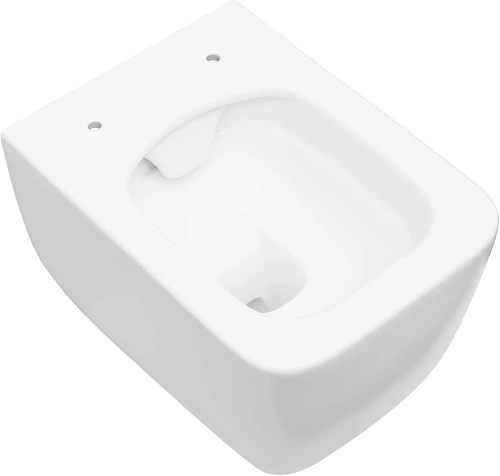 Унитаз подвесной Allen Brau Liberty 4.33007.21 с крышкой, белый матовый Унитаз подвесной Allen Brau Liberty 4.33007.21 с крышкой, белый матовый